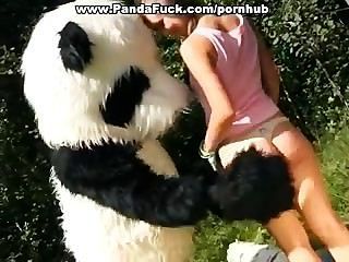 Wild Sex To Award A Hero Panda